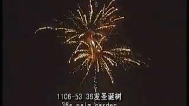 Palm Garden.wmv смотреть онлайн