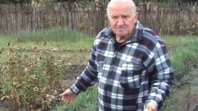 Бублик Б.А. Джунгли на грядке / Что сеет ?и садит ? Борис Андреевич/ Огород без хлопот смотреть онлайн