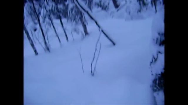 Хариус #2 смотреть онлайн