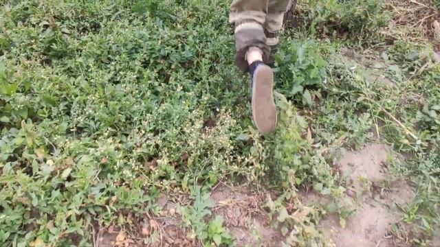 "Традиционный" способ посадки картофеля или соломенное земледелие...... смотреть онлайн