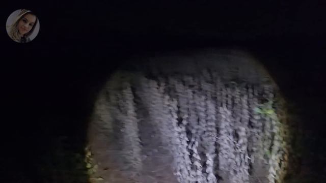 ENCONTRAMOS CARRINHO DE BEBÊ! com criança dentro chorando смотреть онлайн