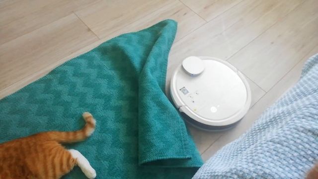 Робот пылесос Deebot 900 отзыв. Как робот пылесос deeboot 900 справляется с препятствиями. [11.2020 смотреть онлайн