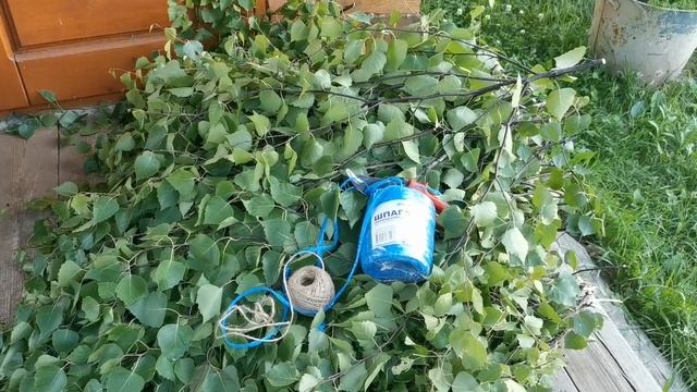 Заготавливаем банные веники: берёзовые, крапивные, дубовые. смотреть онлайн