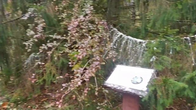 Переславль-Залесский. Первое путешествие. Часть 2. смотреть онлайн