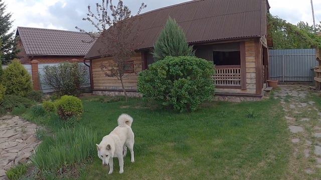 Дом, на озере Цимлянском смотреть онлайн