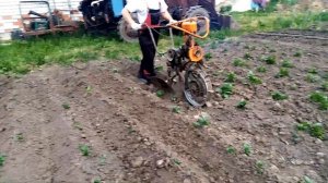 Окучиватель из бензопилы Дружба 4 в работе.