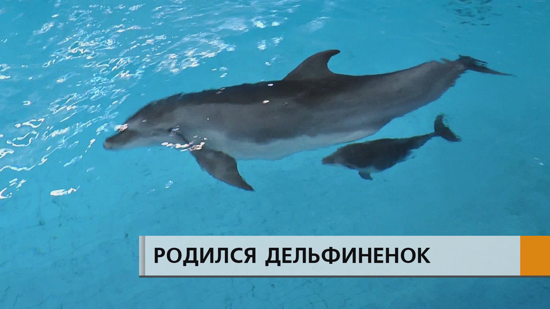 ЭФИР Набережные Челны