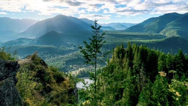 #песня Лишь в Боге душе моей успокоенье. Поёт и играет Сергей Попков смотреть онлайн