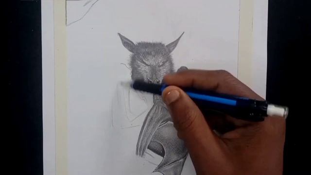 Bat's ? graphite pencil sketch ✏️ | ranjan dilkhush art ? смотреть онлайн