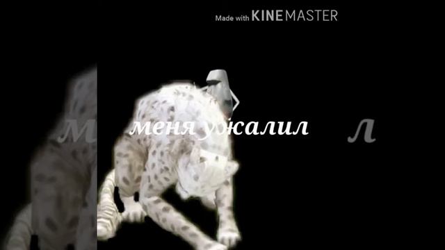 КЕЙТ 1 МИНУТУ И 29 СЕКУНД ПОЕТ ПЧЕЛОБАВ УРОД СМОТРЕТЬ БЕЗ СМС И РЕГЕСТРАЦИИ!!! смотреть онлайн