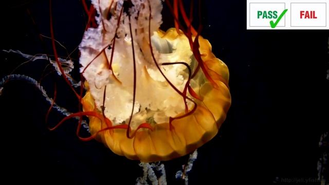 GEEKOM MiniAir 11 Mini PC Review - Windows 11 PRO - 4K 60 - UNDER £250 - Any Good? смотреть онлайн