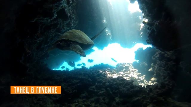 5 РЕАЛЬНЫХ монстров снятых на камеру