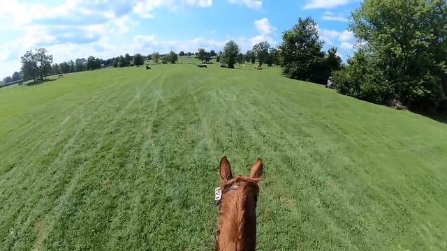 Helmet Cam: Sharp Decision (2021 American Eventing Championships | Intermediate)
