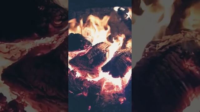 Сушим тыквенные семечки в печке в деревне).#shorts #семечки #деревня #2022 #природа смотреть онлайн