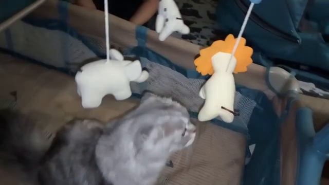 Клизма смотреть онлайн