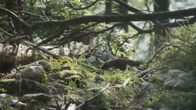 Musica Para Dormir, Musica Para Estudar, Musica Para Relaxar, Musica Para Meditar