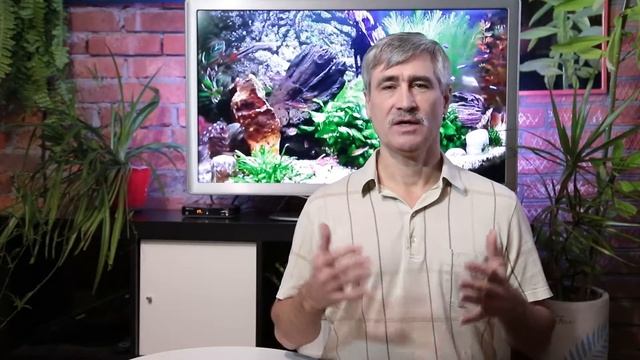 Нужно ли сбивать температуру смотреть онлайн