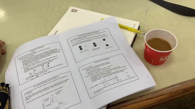 STUDY VLOG: Quiz Week,Biology Lab and Weekend with friends смотреть онлайн