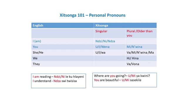 Xitsonga 101- Is Shangaan and Tsonga the same? смотреть онлайн