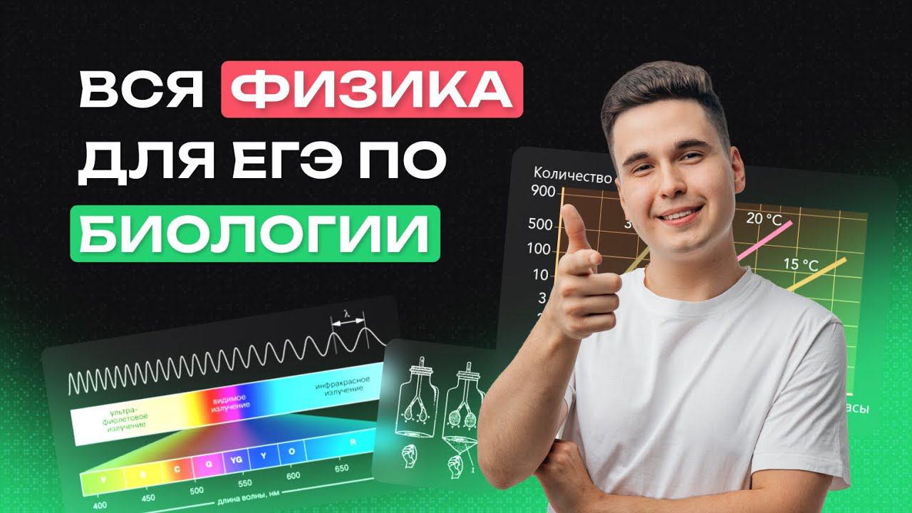 Вся ФИЗИКА для ЕГЭ по БИОЛОГИИ | Это точно будет на ЕГЭ-2024 по биологии | NeoFamily смотреть онлайн