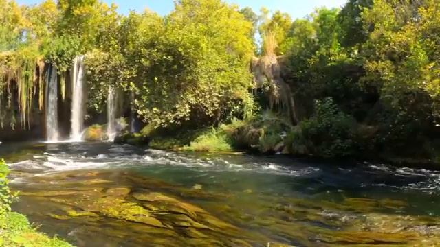 Celtic Irish‼️Flute & Harp Music - Positive Energy Music. Good Morning Time смотреть онлайн