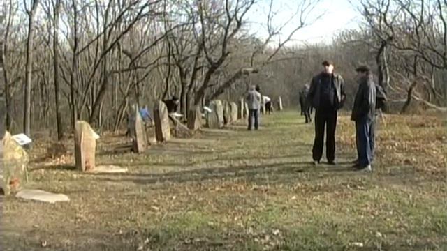 Партизанская стоянка 2010 смотреть онлайн