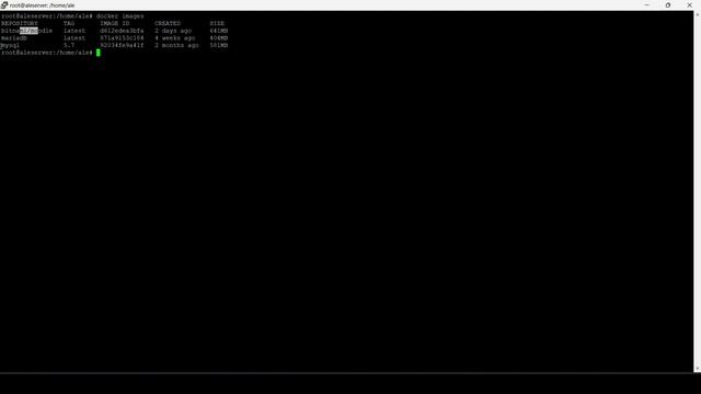Instalación de MOODLE con DOCKER dentro de Ubuntu Server | Farit Reasco & Grace Contreras смотреть онлайн