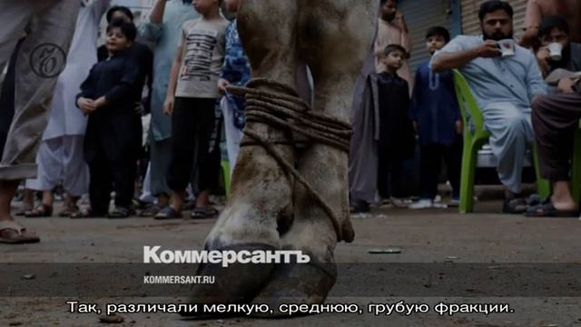 Пеклеванный смотреть онлайн