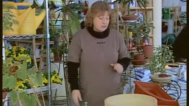 Горшки и контейнеры. смотреть онлайн