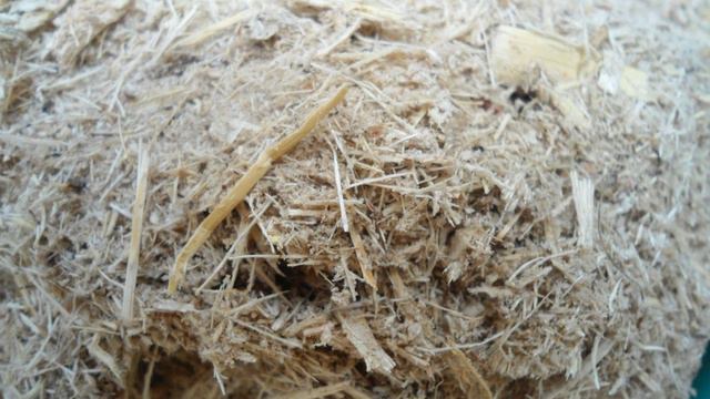 Bagasse | Wikipedia audio article смотреть онлайн