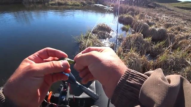 Окунь после нереста. Как поймать. смотреть онлайн