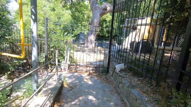 Крым Гаспра санаторий Ясная Поляна, Дворец и парк графини Паниной. смотреть онлайн