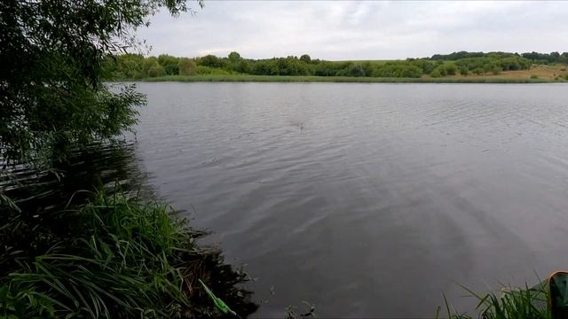 Рыбалка в августе 2021. Мы в шоке. CARPFISHING, FISHING смотреть онлайн