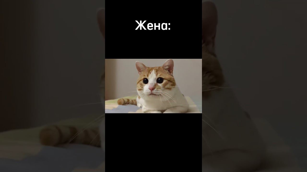 Признавайтесь, жизненно? #shorts #ремонткухни #дизайнкухни смотреть онлайн