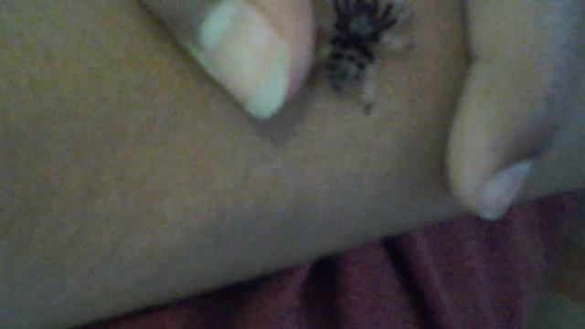 Handling my baby green bottle blue смотреть онлайн