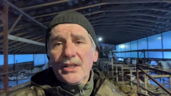 Про кастрацию бычков