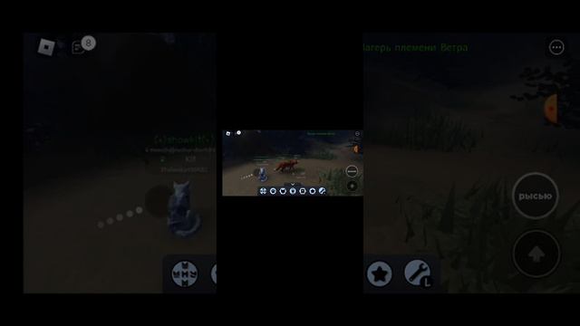 Я играю в Roblox режим дикие коты