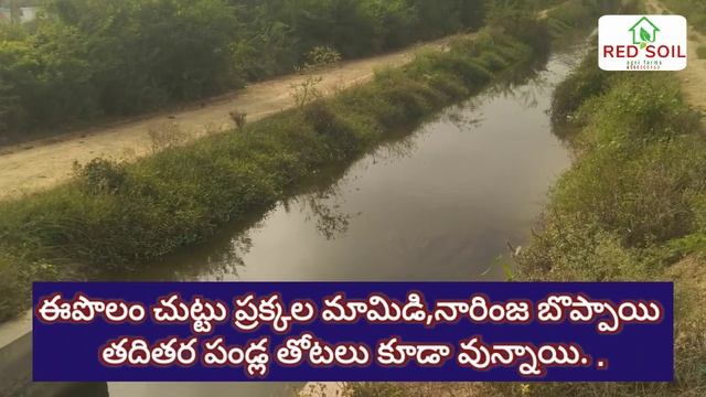 #Red soil# agriculture land80 acres for SALE low cost 7 lacs per acre in Guntur District. #LOW COST смотреть онлайн