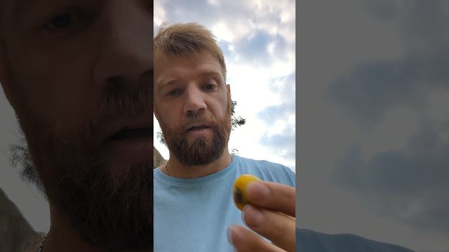 кенийский подорожник смотреть онлайн