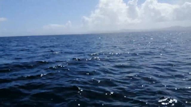 Cayo Levantado, Атлантический океан смотреть онлайн