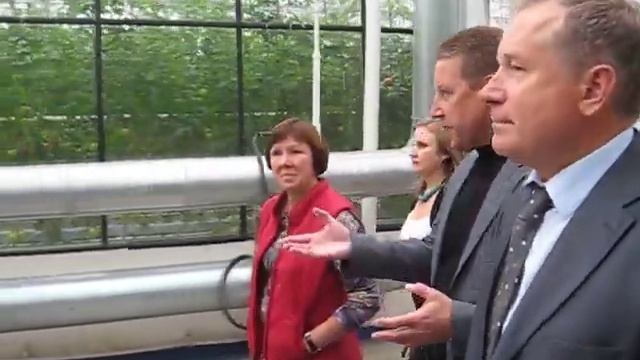 Теплица в "Пригородном" смотреть онлайн