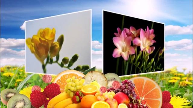 ЧУДЕСНЫЕ ЦВЕТЫ ФРЕЗИЯ смотреть онлайн