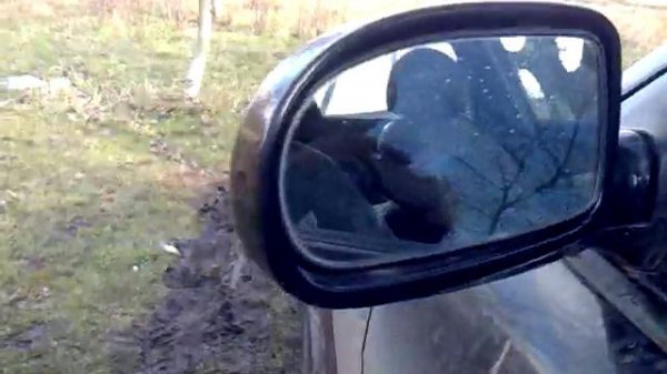 Sony XPLOD "15 1300W (by ExclusivE 2 )