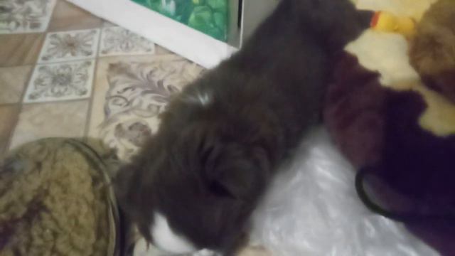 Марти спит на полу смотреть онлайн