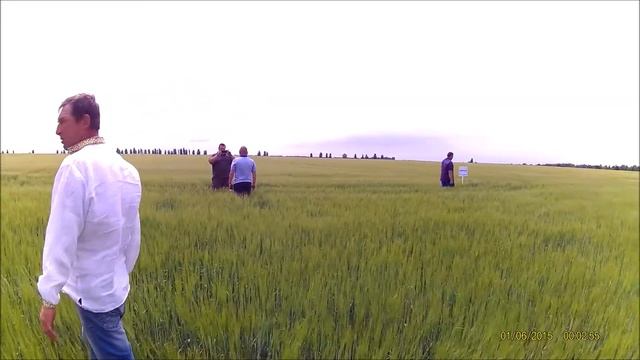 ВІТЕРА Сага про Райкат Старт смотреть онлайн