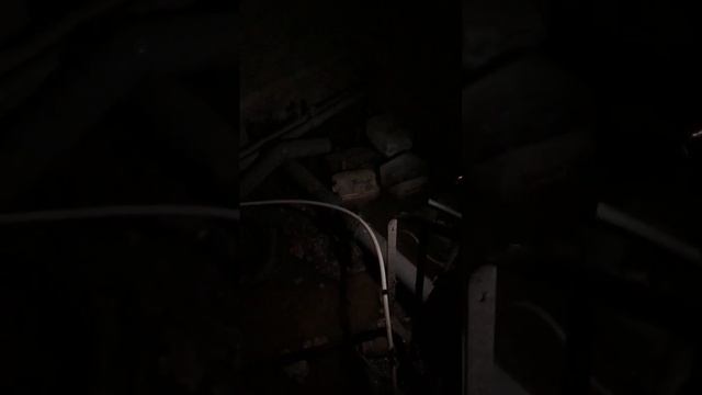 В Саратове из-за нечищеной канализации заливает подвал дома. Комментарий "КВС" смотреть онлайн