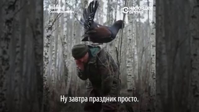 Толкование глухаря с человеком. смотреть онлайн