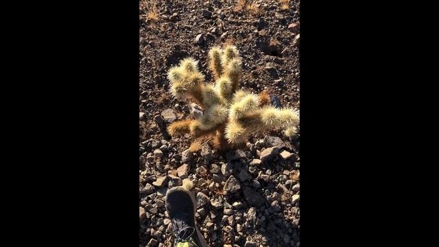 Путешествовать в США, Природа в США, Аризона смотреть онлайн