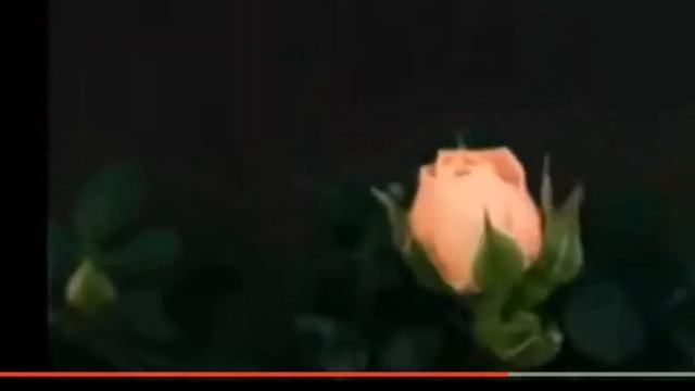 Мольбы и покаяния...Александр Ружьев, муз. и исп. САМУИЛА ФРУМОВИЧА #СамуилФрумович смотреть онлайн