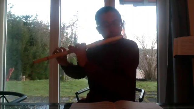 A. Bova, 24 prélude for baroque flute смотреть онлайн